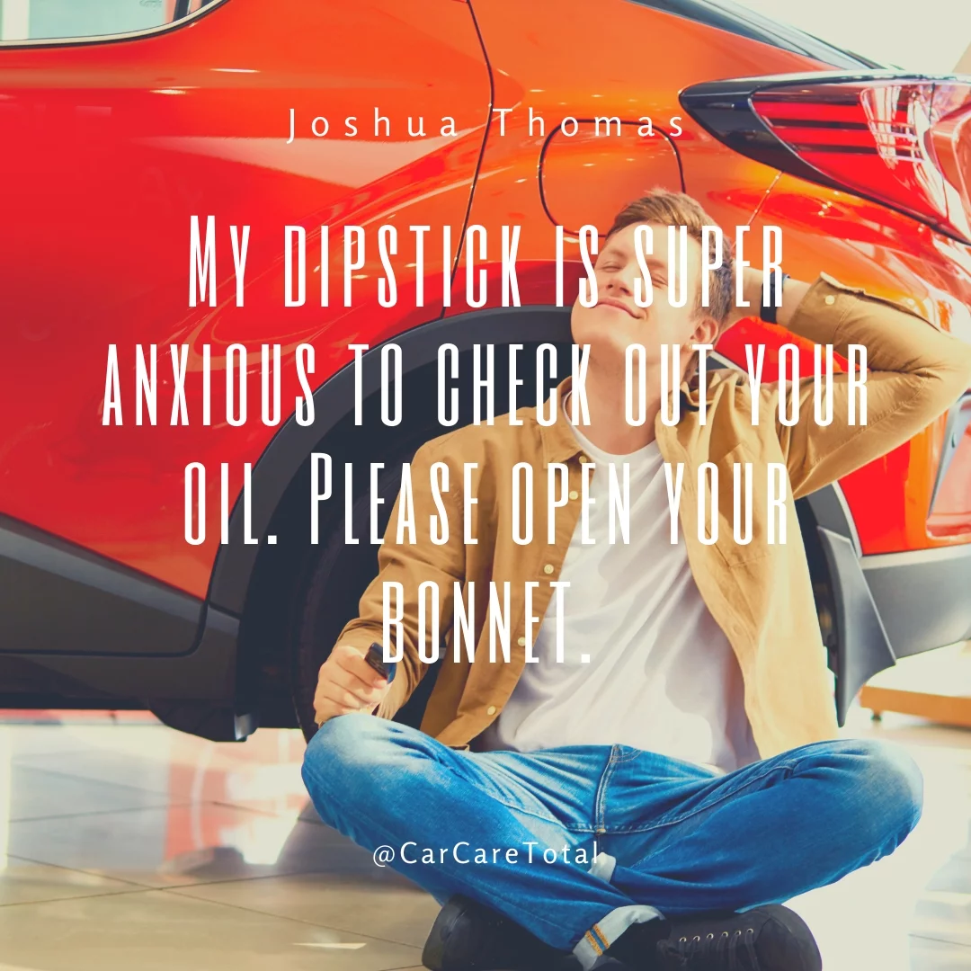 My dipstick is super anxious to check out your oil. Please open your bonnet.