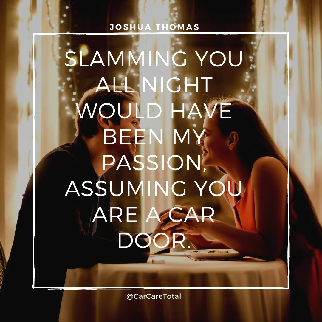 Slamming you all night would have been my passion, assuming you are a car door.