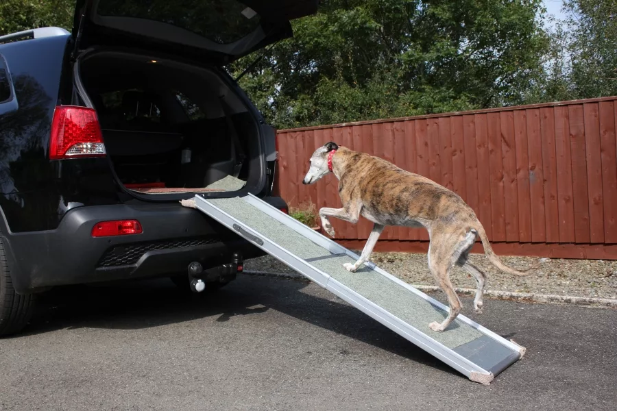 7 Best Car Ramps: Reviews, Buying Guide and FAQs 2023