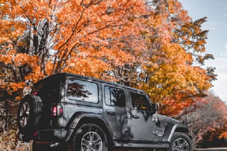 Is a Jeep Wrangler a Good Daily Driver?
