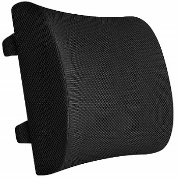 Everlasting Comfort Back Cushion Lumbar Support
