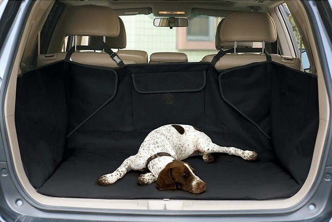 How To Buy The Best Car Seat Cover For Dogs