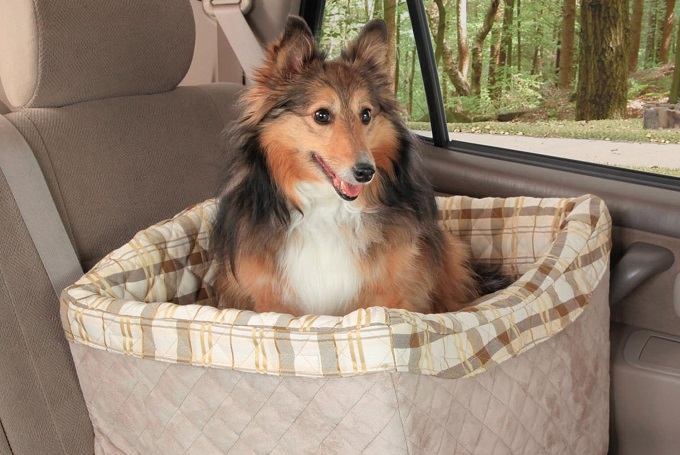 How To Buy The Best Dog Car Seat