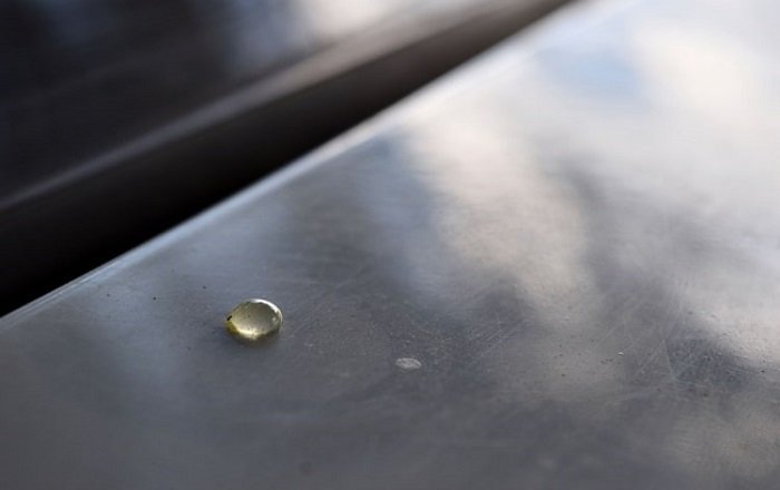 Why Should You Remove Tree Sap from Your Car?