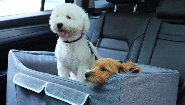 7 Best Dog Car Seats of 2023: Reviews, Buying Guide and FAQs 